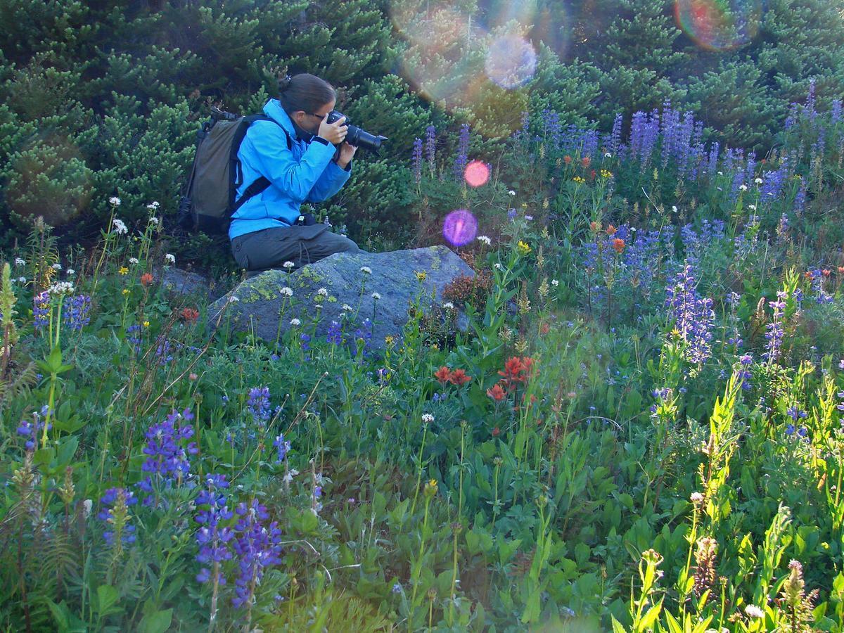 Eagle'S Nest Resort Anahim Lake 외부 사진
